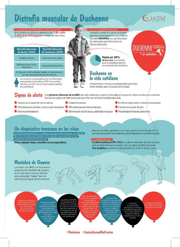 Infografía Distrofia muscular Duchenne Infografía Distrofia muscular Duchenne