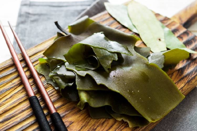 kombu-alga Alga kombu sobre una tabla de madera con palillos
