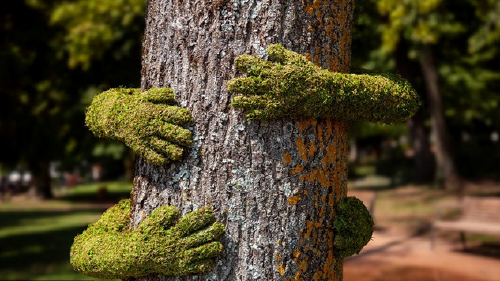 1200x675 phpCJTBQu 1200x675 phpCJTBQu