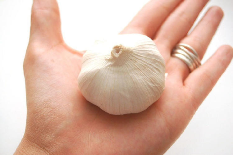 ajo para las uñas ¿Cómo puedes hacer crecer uñas fuertes y sanas naturalmente?