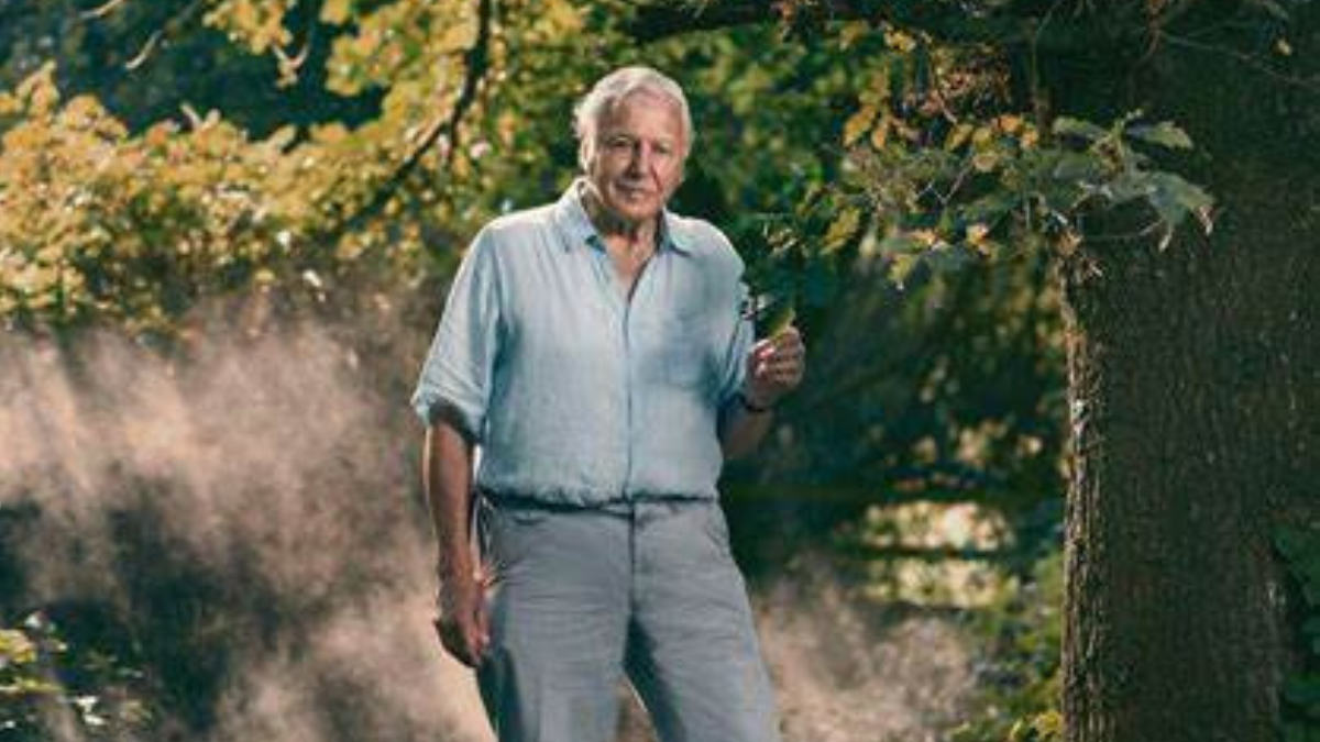 extincion documental Extinción: el impacto de la crisis en el ecosistema:.