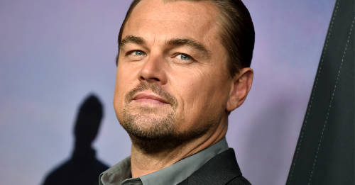 leo dicaprio cuidado ambiente leo dicaprio cuidado ambiente