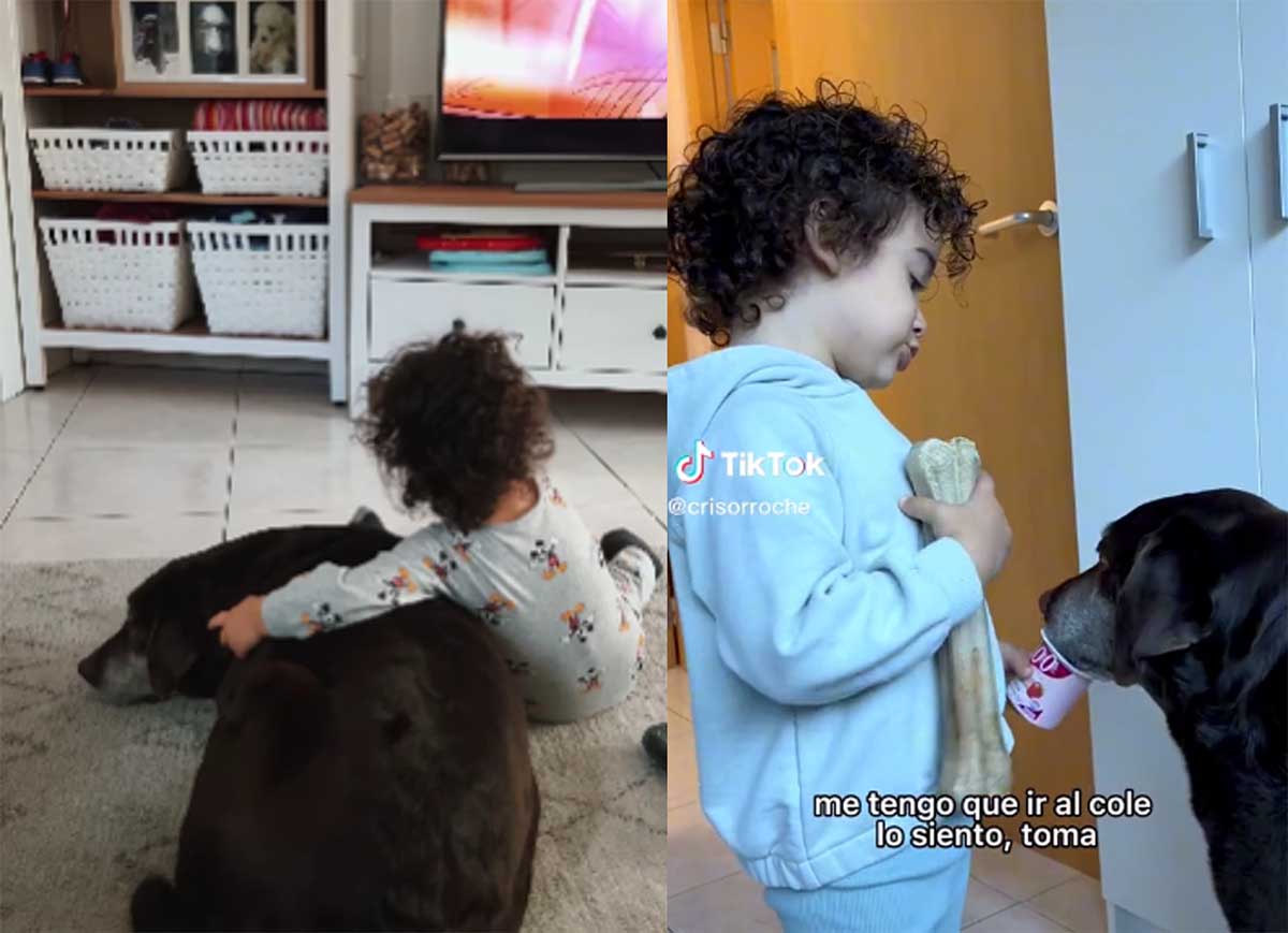 niño perro niño perro