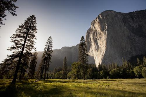 yosemite parque