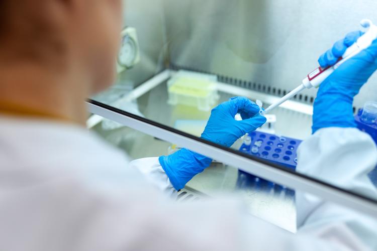 pfizer Pfizer reduce la cantidad de vacunas que tenía previsto fabricar