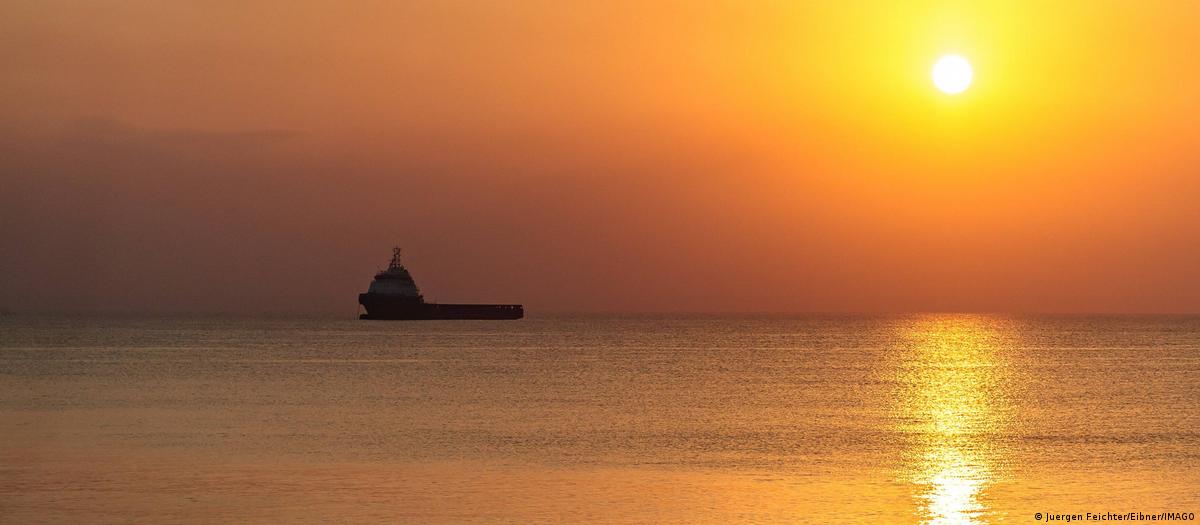 66486404_1004 66486404_1004