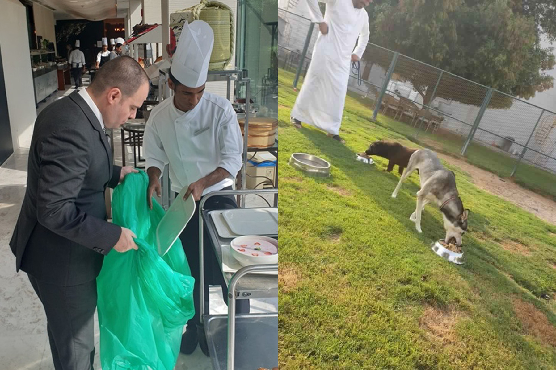 alimento donado hotel alimento donado hotel