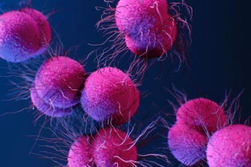 virus Imagen: Pinterest