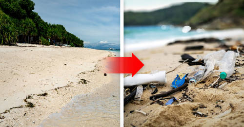 Era una isla virgen y ahora está ocupada por 18 toneladas de plásticos