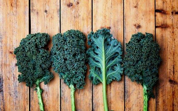 sals-kale-salad-recipe-ftr.jpg sals-kale-salad-recipe-ftr.jpg