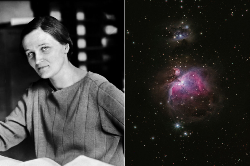 Collage portadas notas Collage portadas notas