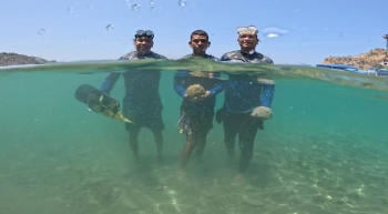 corales colombia