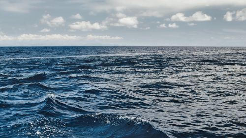 ALTA MAR AdobeStock_304555226 ALTA MAR AdobeStock_304555226