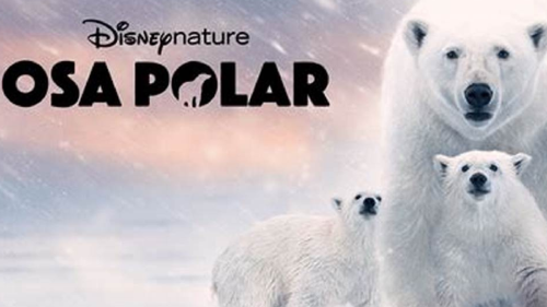 osa polar Docuserie imperdible: Osa Polar, supervivencia en el Ártico es una producción de Disneynature .