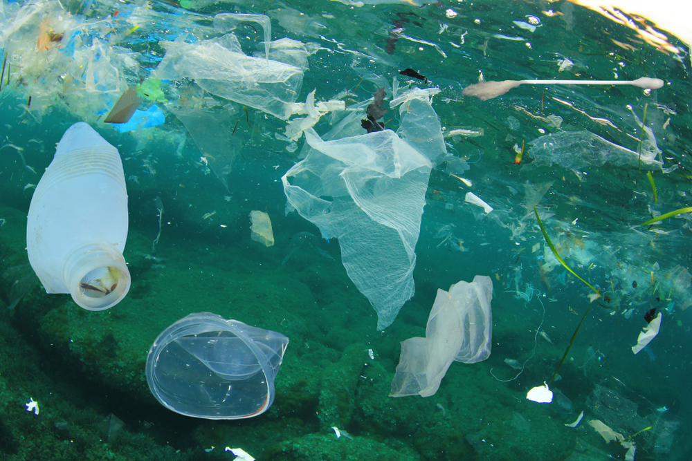 Plástico: El Residuo Que Más Aparece En Las Playas | Bioguia