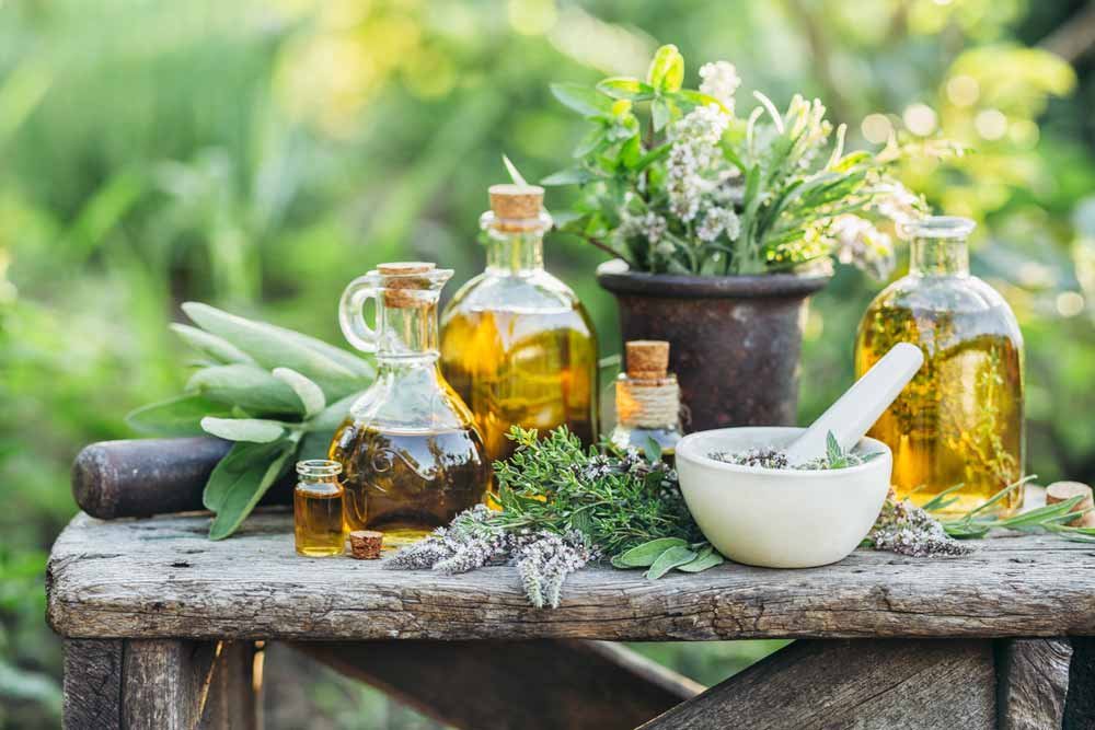 plantas medicinales aceites esenciales y elementos de trabajo