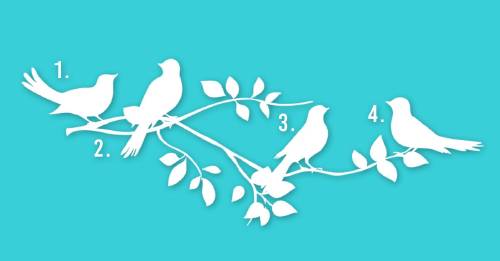 Escoge un pájaro y averigua cuál podría ser tu propósito en la vida