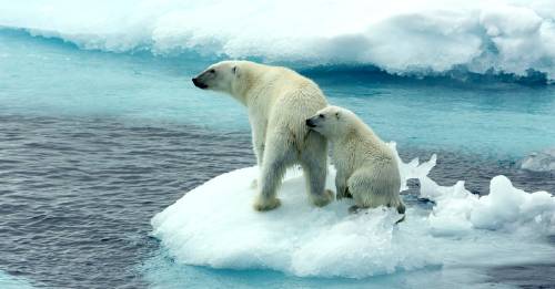 Científicos advierten que el cambio climático se volverá irreversible dentro de poco