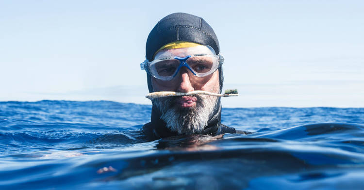 nadar region contaminada oceano encontro nadar region contaminada oceano encontro