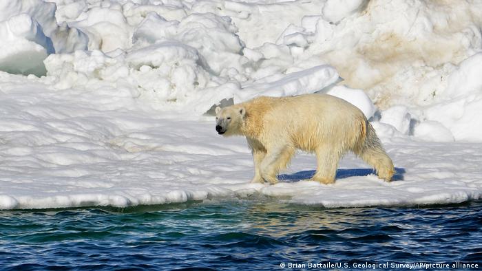 64702828 401 64702828 401