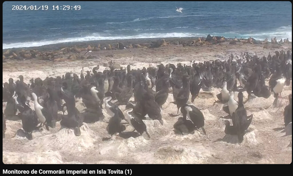 baja IMG_5610 1024x614 baja IMG_5610 1024x614