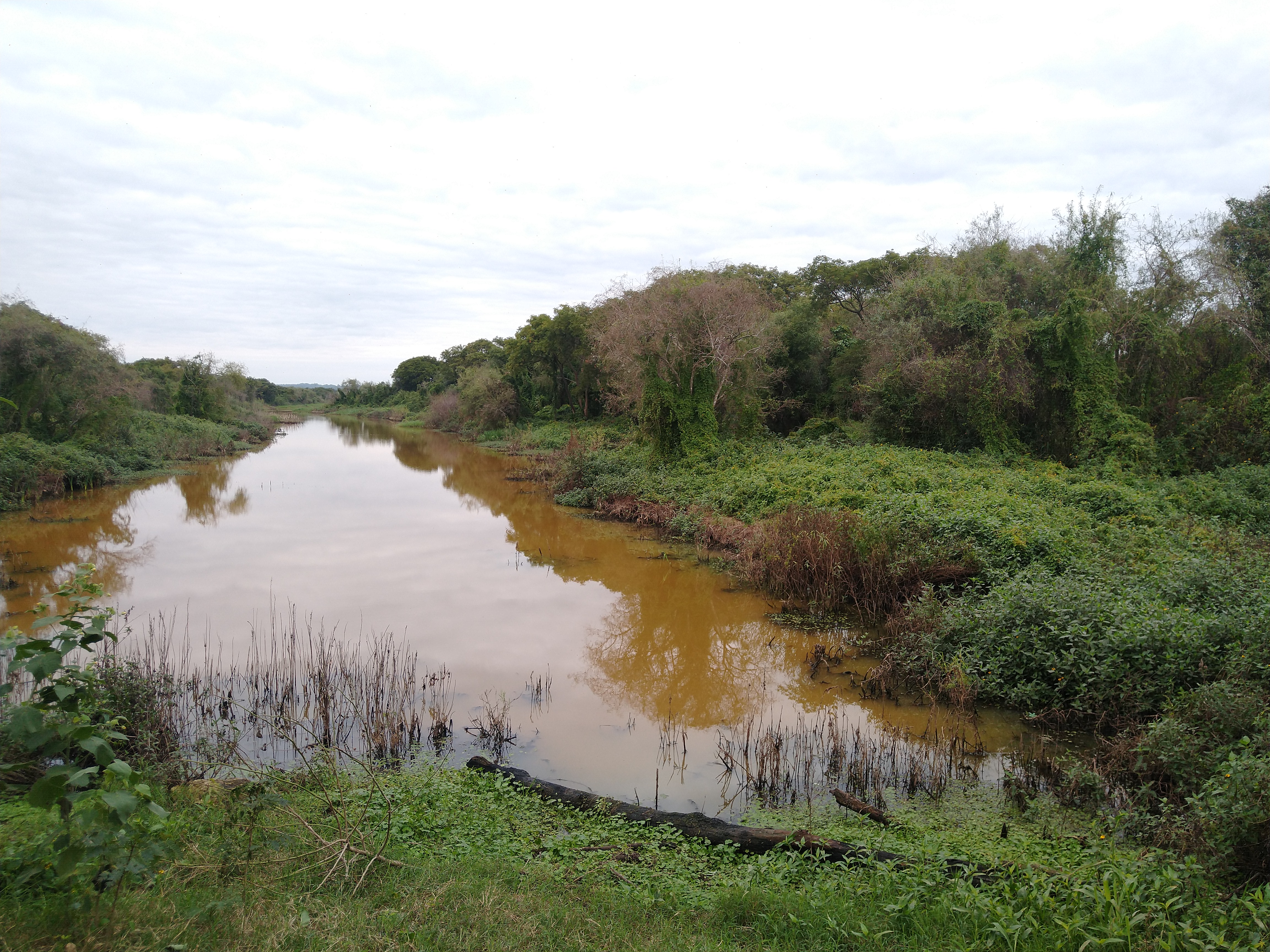 IMG 20230715 154057 IMG 20230715 154057