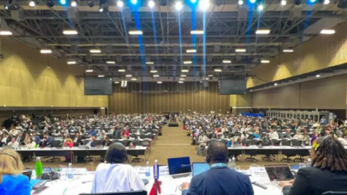 COP16 COP16 sobre biodiversidad se reanuda con enfoque financiero.