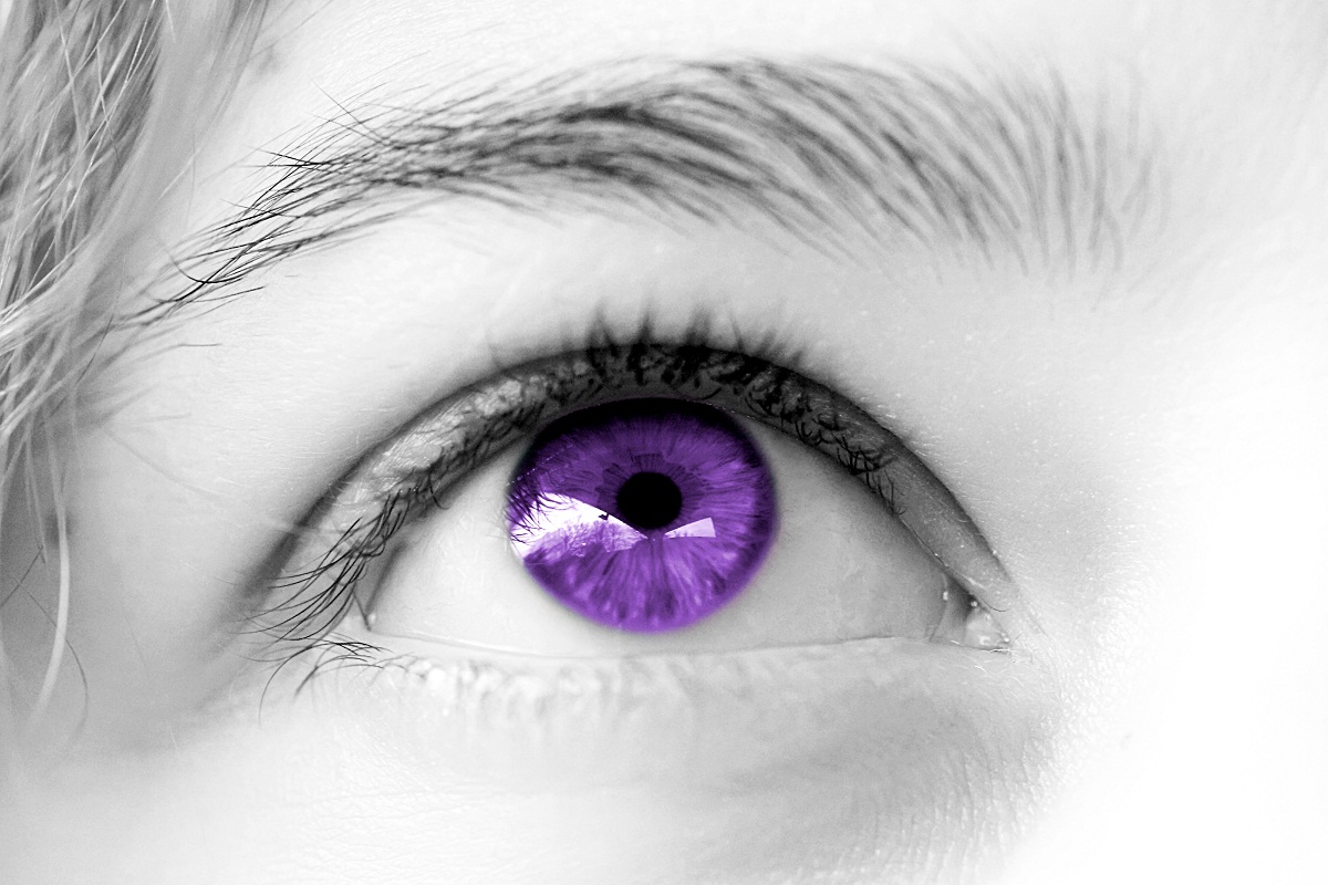 Síndrome de Alejandría 2 Síndrome de Alejandría