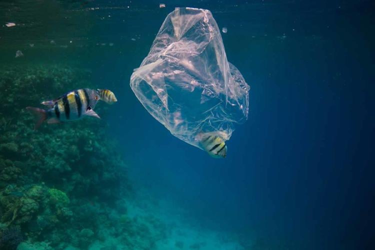 PLASTICOS UN SOLO USO3 PLASTICOS UN SOLO USO3