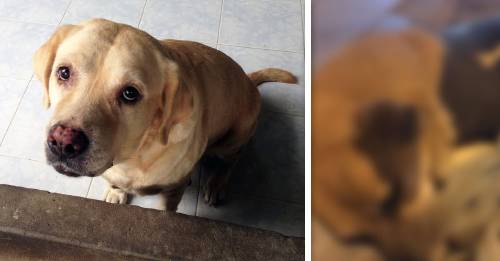 Fue abandonado en un aeropuerto y esperó a su familia 6 meses tras la misma puerta
