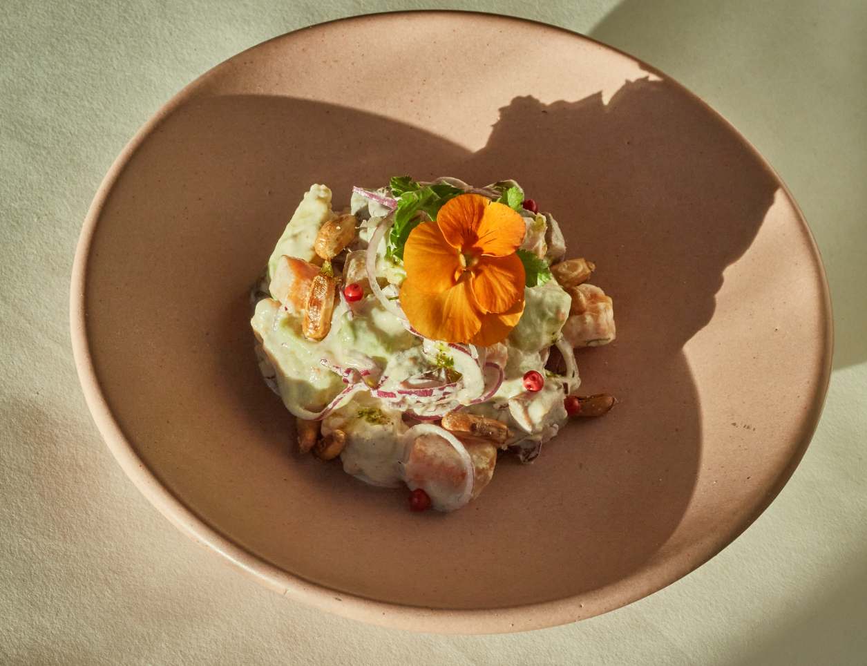 Mudrá gastronomía basada en plantas Mudrá gastronomía basada en plantas