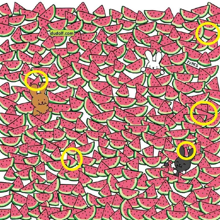 resolución resolución