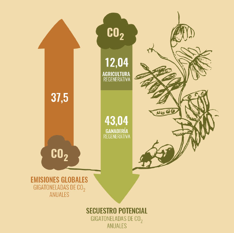 01 - Rodale - Una solución al cambio climático4-04