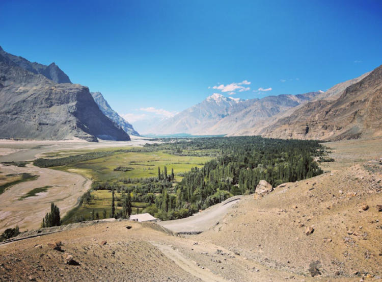 oasis desierto oasis desierto