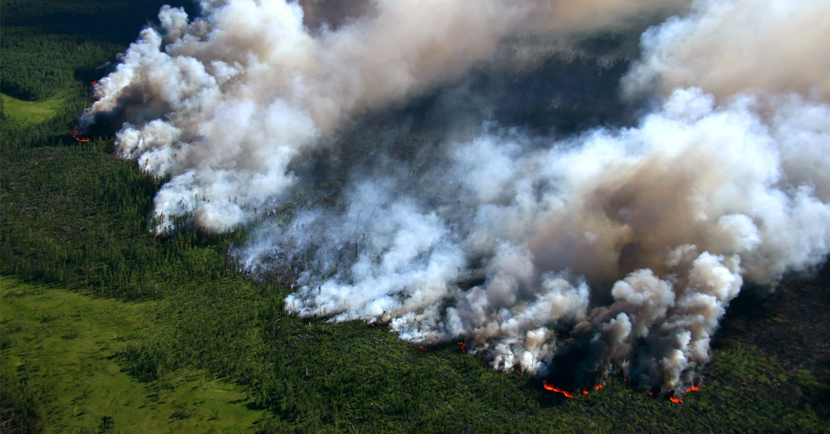 incendios amazonicos bolivia incendios amazonicos bolivia