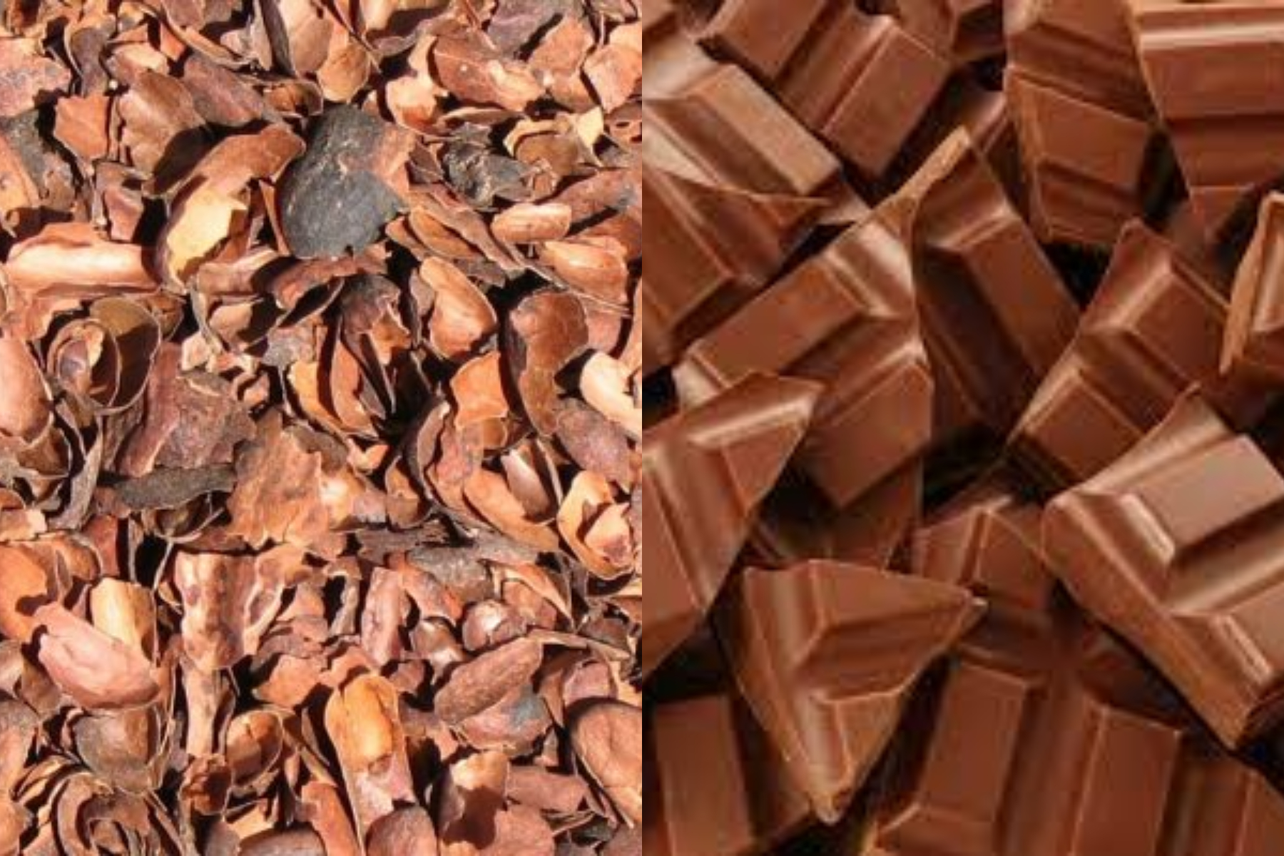 FotoJet (4) FotoJet (4)