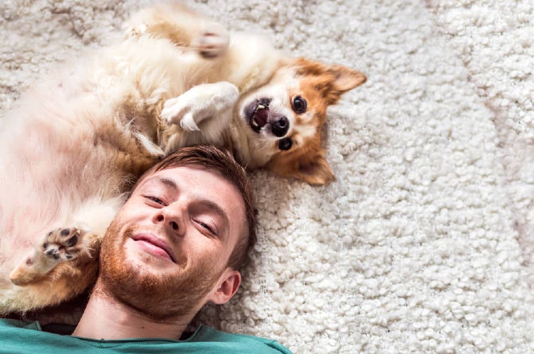 hombre perro mascota Un hombre recostado en el suelo con su perro