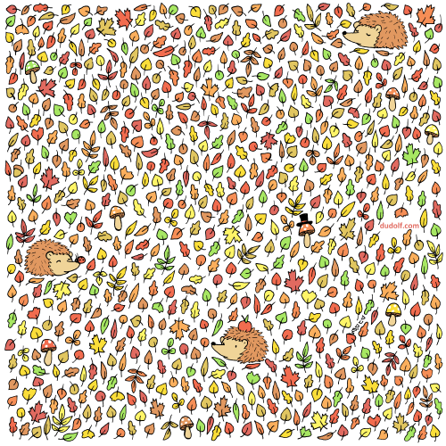 Reto visual Reto visual