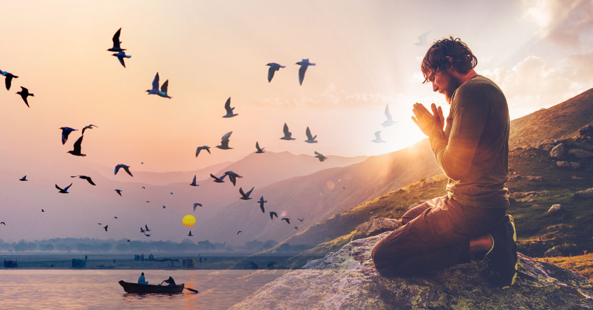 fromas universo comunicarse pajaros fromas universo comunicarse pajaros