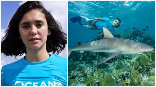 FotoJet (6) FotoJet (6)