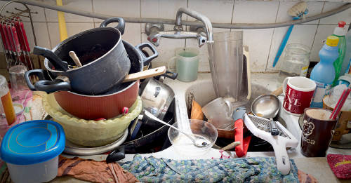 focos infeccion casa hogar focos infeccion casa hogar