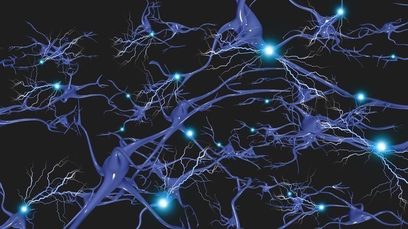 neuronas neuronas