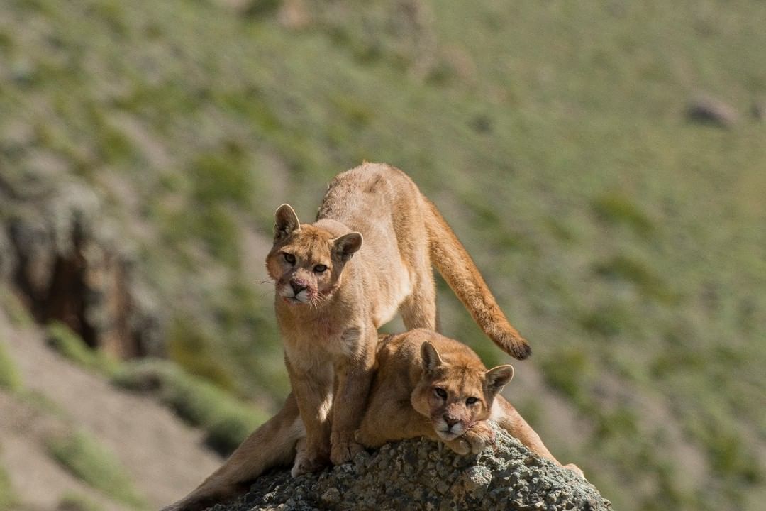 unknown_280140346_411315363848687_4178662560690544055_n unknown_280140346_411315363848687_4178662560690544055_n