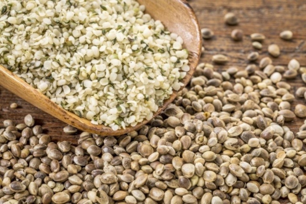 Qué pasa si comes semillas de cáñamo? | Bioguia