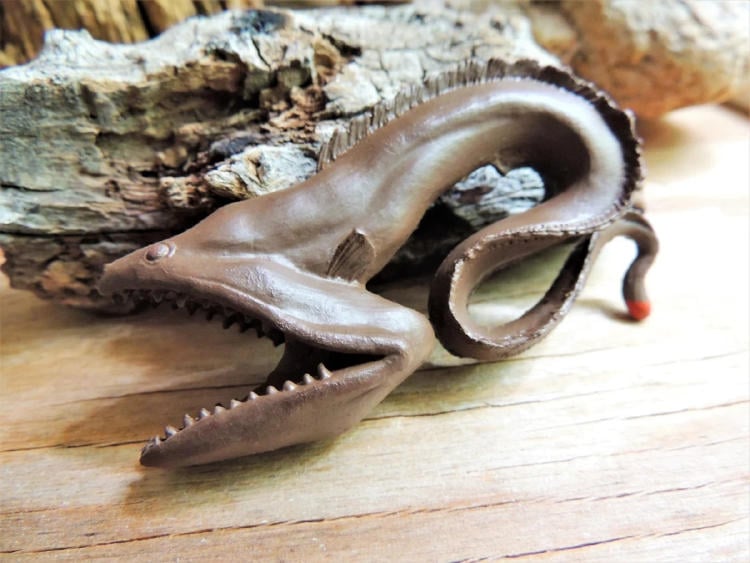 Anguila Gulper Anguila Gulper