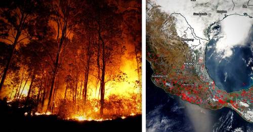 México en llamas: más de 100 incendios afectan al país