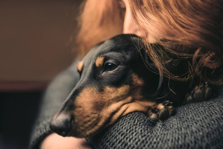 mujer triste perro