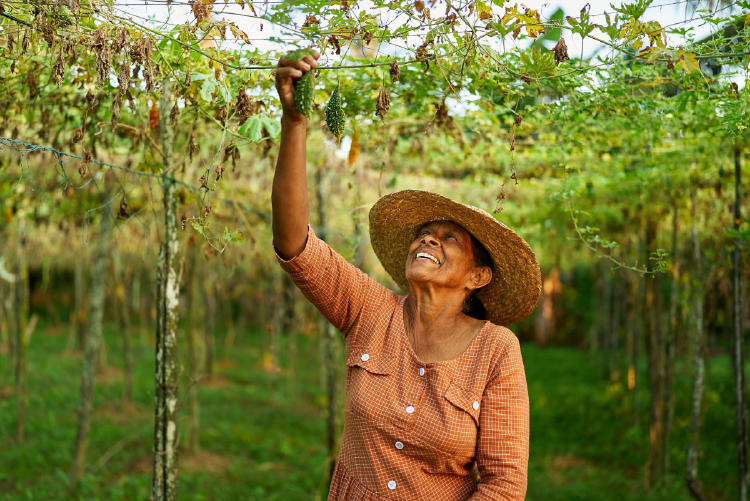 mujer campesina