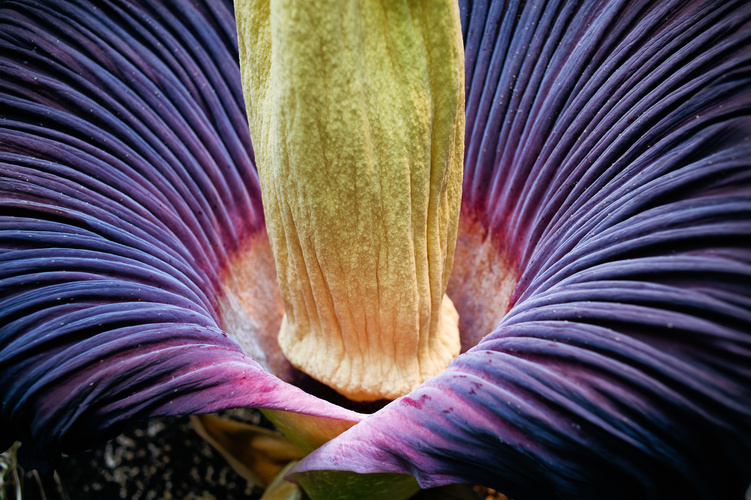 AdobeStock 439494527 AdobeStock 439494527