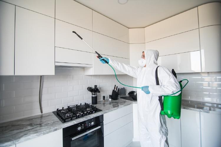 contaminación contaminación